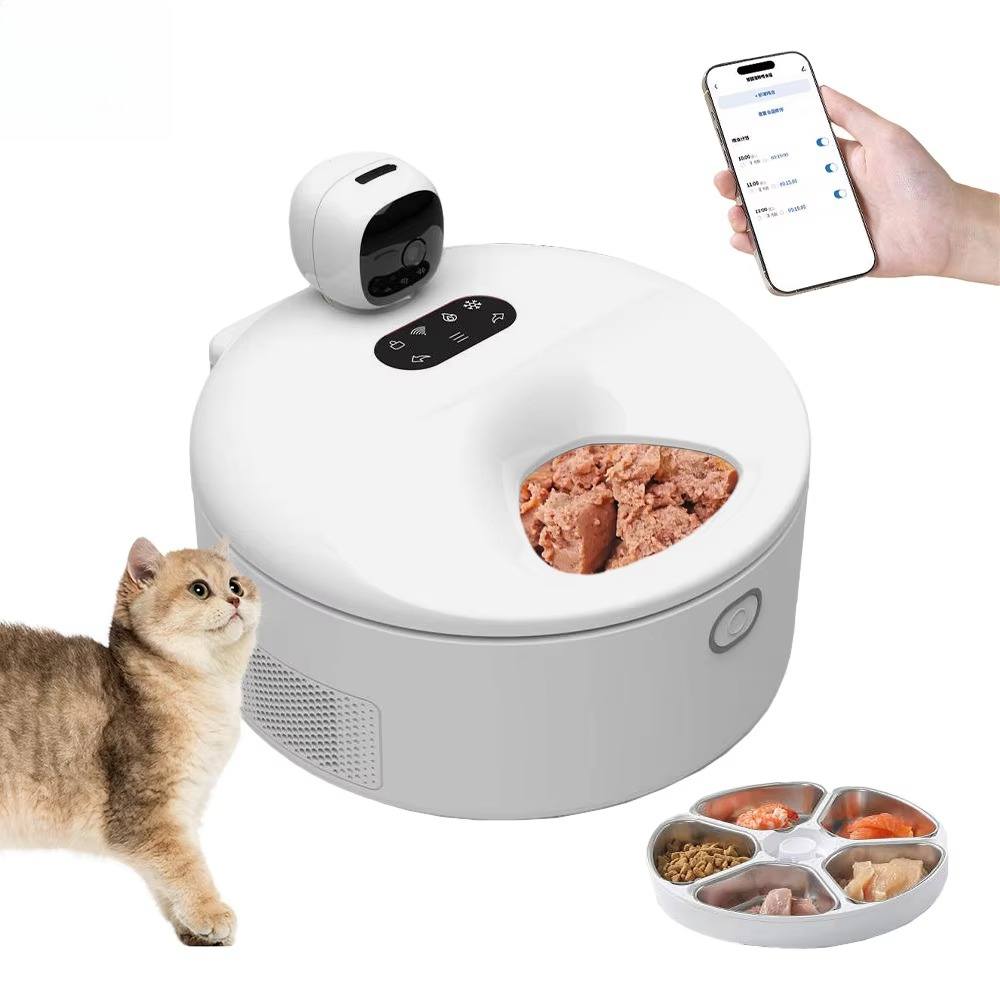 Kitchen Appliances Video - Özel Akıllı 5 Öğünlük Evcil Hayvan